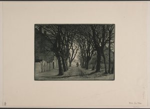 Allée