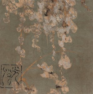 Fleurs de glycine, période Edo, début du XVIIe siècle