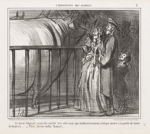 Exposition des animaux : La Vache-Éléphant, nouvelle variété - Honoré Daumier