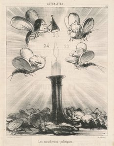 Les moucherons politiques