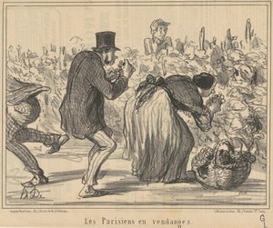 Les parisiens en vendanges