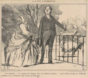 Oui madame ... ces animaux-là ...
