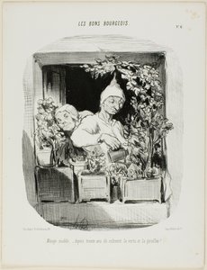 Un mariage modèle : Pendant trente ans, ils ont cultivé la vertu et les œillets, planche six des Bons Bourgeois