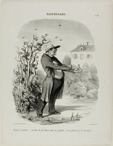 "Brigand d