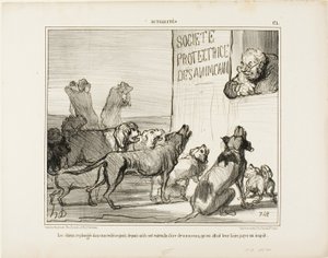 Les chiens se désespèrent à nouveau après avoir appris qu
