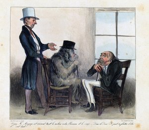 Voyez Monsieur Mayeux, cet animal tient le milieu entre l