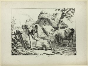 Bivouac Kitchen
