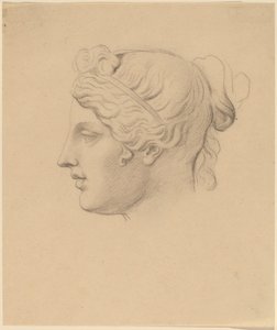 Tête classique de profil - Horatio Greenough