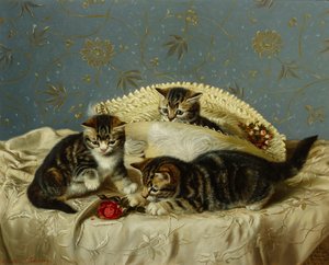 Chatons en train de faire des bêtises