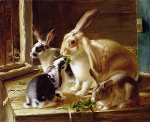 Lapins à longues oreilles dans une cage, observés par un chat - Horatio Henry Couldery
