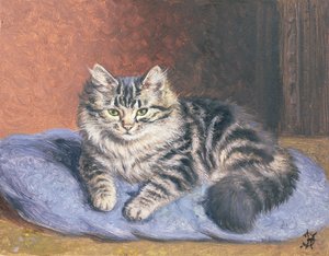 Le coussin bleu