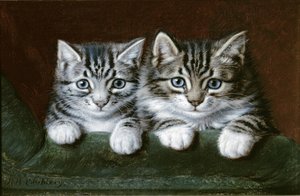 Deux chatons tigrés