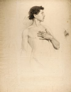 Garçon nu, torse et tête