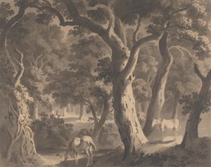 Forêt de Wychwood