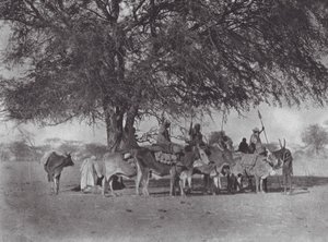 Afrique : Caravane de cavaliers sur le Nil Blanc - Hugo Adolf Bernatzik