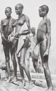 Soudan-Négresse - Hugo Adolf Bernatzik