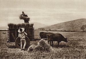 Mexique : agriculteurs récoltant du blé (photo n/b) - Hugo Brehme
