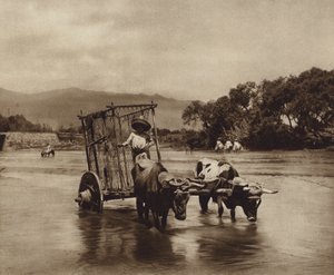 Mexique : charrette à bœufs avec des roues en forme de disques (photo n/b) - Hugo Brehme