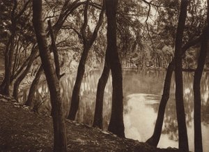 Mexique : Las fuentes de Tlalpam D F (photo n/b) - Hugo Brehme