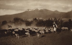Mexique : les environs d
