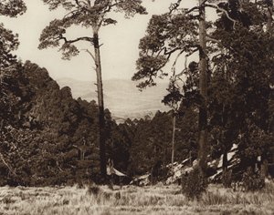 Mexique : panorama sauvage au pied du Pico de Orizaba (photo n/b) - Hugo Brehme
