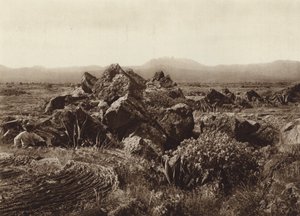 Mexique : Pedregal, Corriente de basalto-lava près de San Angel (photo n/b) - Hugo Brehme