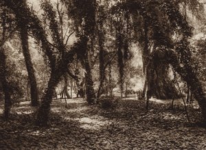 Mexique : endroit idyllique dans le parc de Chapultepec (photo n/b) - Hugo Brehme
