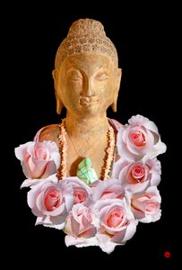 Bouddha - Hugo Nefe