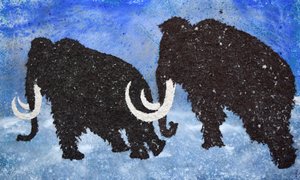 ÈRE GLACIAIRE - Hugo Nefe