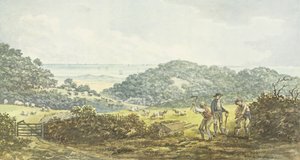 Vue panoramique 