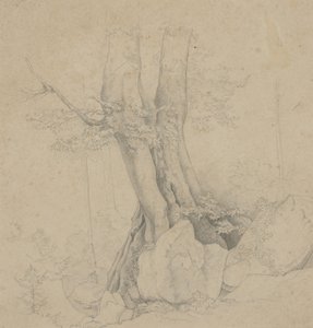 Arbre et Roche - Ida Weisselberg Hadra