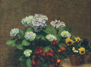 Fleurs