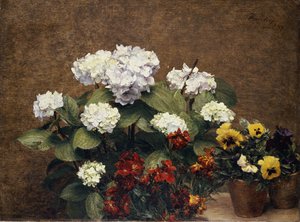Hortensias et giroflées avec deux pots de pensées, 1879