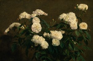Nature morte de roses blanches