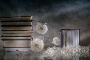  - Igor Kopcev
