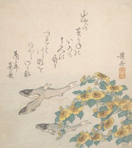 Poissons nageant avec des fleurs jaunes, vers 1830 - Ikeda Eisen