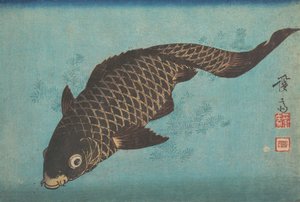 Koi - Ikeda Eisen
