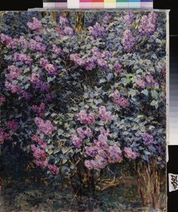 Lilas