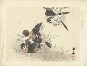 Cinq moineaux en combat - Imao Keinen