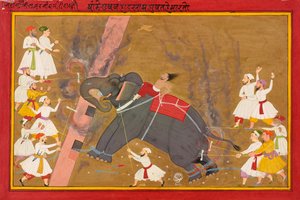 Un éléphant devient fou - Indian School