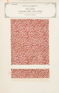 Échantillon de coton avec impression chetee (chintz) d
