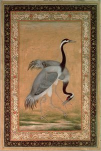 Grues de Mansur, Période Jahangir, Mughal - Indian School