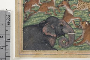 (détail) Le Chacal qui se proclama roi, c.1560-65