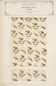 Échantillon de mousseline brodée de Madras, de The Collection of the Textile Manufacturers of India, par John Forbes Watson, publié en 1866