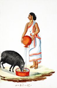 Nourrir un cochon sauvage