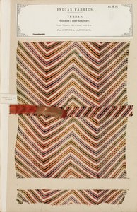 Échantillon de turban en coton fin de Jeypoor au Rajpootana, de The Collection of the Textile Manufacturers of India, par John Forbes Watson, publié en 1866