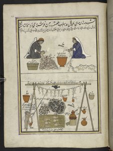 Poissonniers, femmes éviscérant des poissons ; homme séchant des poissons