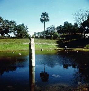 Ruines du Palais de Pataliputra