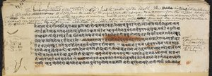 Texte du 