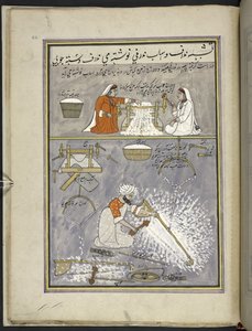 Deux femmes égrenant du coton; homme cardant du coton, 86 dessins reliés en un volume représentant des métiers et des occupations au Cachemire, les artisans sont montrés au travail avec leurs outils et équipements, par un artiste du Cachemire, probablement